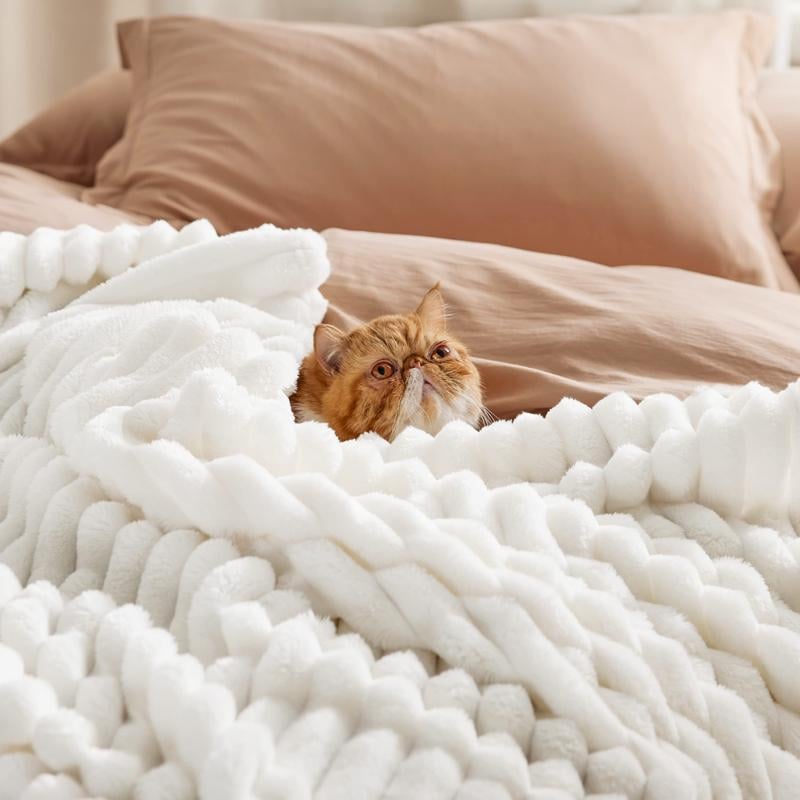 Snuggle Up in Style! ποΈβ¨ Discover the Ultimate Striped Flannel Fleece Blanket β Your Cozy Companion for Every Season! ππ§£