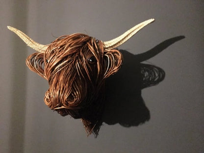 Messy Hairstyle Plateau Cow